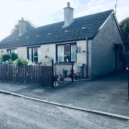 Ponderosea Cottage Free Gated Parking M1 & City Location, Wood Stove Lisburn Exteriör bild