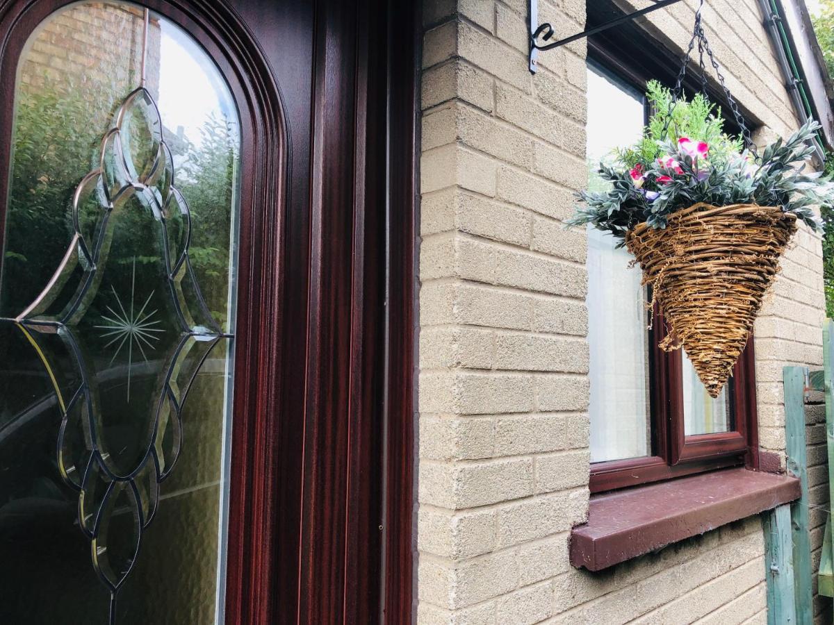 Ponderosea Cottage Free Gated Parking M1 & City Location, Wood Stove Lisburn Exteriör bild